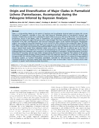 Origin and Diversification of Major Clades in Parmelioid Lichens (Parmeliaceae, Ascomycota) During the Paleogene Inferred by Bayesian Analysis