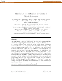 Slime Mould: the Fundamental Mechanisms of Biological Cognition