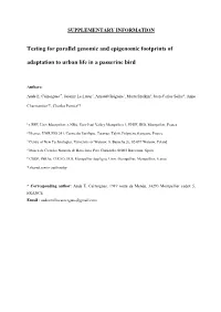 Testing for Parallel Genomic and Epigenomic Footprints of Adaptation to Urban Life in a Passerine Bird