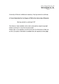 British Computer Networks and the Internet, 1970-1995