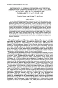 Differences in Inshore-Offshore and Vertical Distribution of Phyllosoma Larvae of &lt;I&gt;Panulirus, Scyllarus&lt;/I&gt; and &L