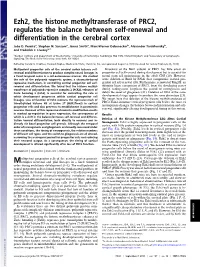 Ezh2, the Histone Methyltransferase of PRC2, Regulates the Balance Between Self-Renewal and Differentiation in the Cerebral Cortex