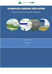Governance & Building with Nature