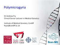 Polymicrogyria (PMG) ‘Many–Small–Folds’