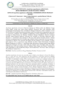 Print This Article