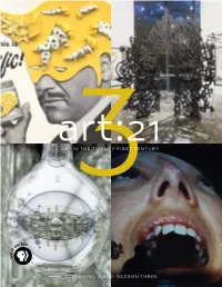 Art in the Twenty-First Century Screening Guide: Season Three