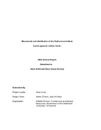 Movements and Distribution of the Bathurst and Ahiak Barren-Ground
