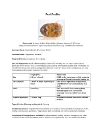 Pest Profile