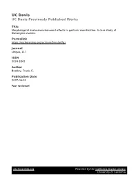 A Case Study of Norwegian Clusters