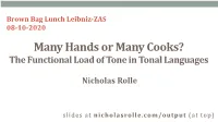 The Functional Load of Tone in Hausa