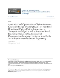(BRET) for Real Time Detection of Protein-Protein Inte