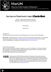 Download PDF Version