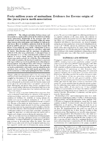 Evidence for Eocene Origin of the Yucca-Yucca Moth Association