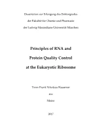 Principles of RNA and Protein Quality Control at the Eukaryotic Ribosome