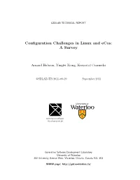 Configuration Challenges in Linux and Ecos: a Survey