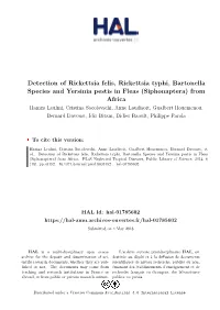 Detection of Rickettsia Felis, Rickettsia Typhi, Bartonella