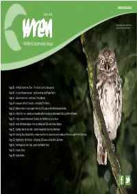 Newsletter Autumn18 R03 Lay