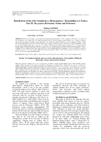 Of Turkey Part II: the Genera Haetosmia, Osmia and Protosmia