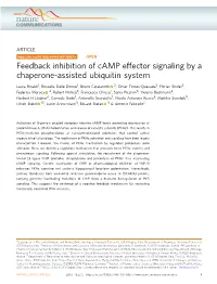 S41467-019-10037-Y.Pdf