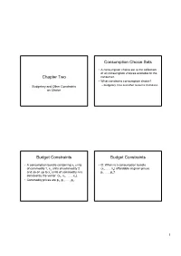 Chapter Two Consumption Choice Sets Budget Constraints Budget