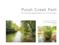 Putah Creek Path Envisioning Opportunities for a Community