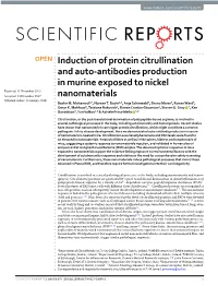 Induction of Protein Citrullination and Auto-Antibodies Production In