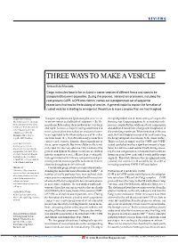 Three Ways to Make a Vesicle