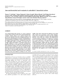 Jaw and Branchial Arch Mutants in Zebrafish I