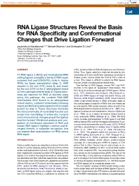 RNA Ligase Structures Reveal the Basis for RNA Specificity And
