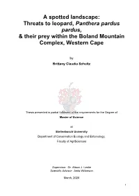 A Spotted Landscape: Threats to Leopard, Panthera Pardus Pardus, & Their Prey Within the Boland Mountain Complex, Western Cape