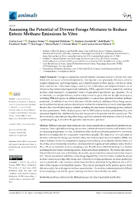 Assessing the Potential of Diverse Forage Mixtures to Reduce Enteric Methane Emissions in Vitro