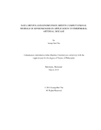 Data-Driven and Knowledge-Driven Computational Models of Angiogenesis in Application to Peripheral Arterial Disease