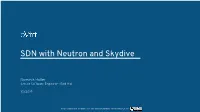 SDN with Neutron and Skydive