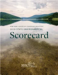 2019 State Environmental