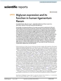 Biglycan Expression and Its Function in Human Ligamentum Flavum