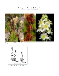 Draft Plant Propagation Protocol