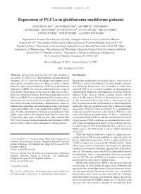 Expression of Pgc1α in Glioblastoma Multiforme Patients
