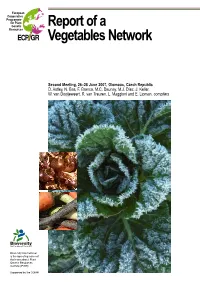 Report of a Vegetables Network: Second Meeting