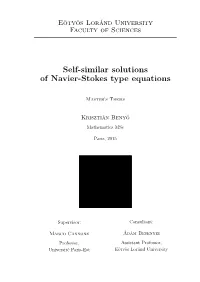 Self-Similar Solutions of Navier-Stokes Type Equations
