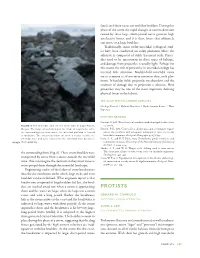 PROTISTS Shore and the Waves Are Large, Often the Largest of a Storm Event, and with a Long Period