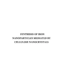 Synthesis of Iron Nanoparticles Mediated By