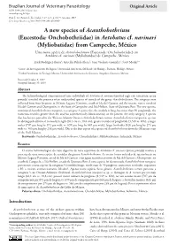 A New Species of Acanthobothrium (Eucestoda: Onchobothriidae) in Aetobatus Cf