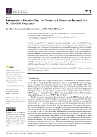 Information Encoded by the Flavivirus Genomes Beyond the Nucleotide Sequence
