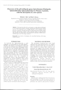 Adec Preview Generated PDF File