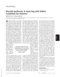 Brucella Melitensis: a Nasty Bug with Hidden Credentials for Virulence
