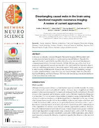 Disentangling Causal Webs in the Brain Using Functional Magnetic Resonance Imaging: a Review of Current Approaches