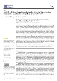 Multilevel Gene Regulation Using Switchable Transcription Terminator and Toehold Switch in Escherichia Coli