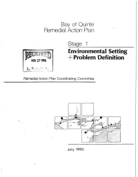 Envh:Onmental Setting + Problem Definition