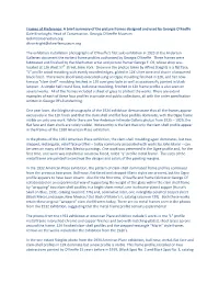 A Brief Summary of the Picture Frames Designed and Used by Georgia O