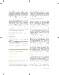 ALGAE, CALCIFIED Zone from the Arctic to the Antarctic, from Temperate Regions to the Tropics